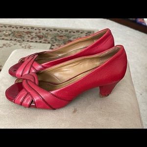 Michelle D dress shoes.